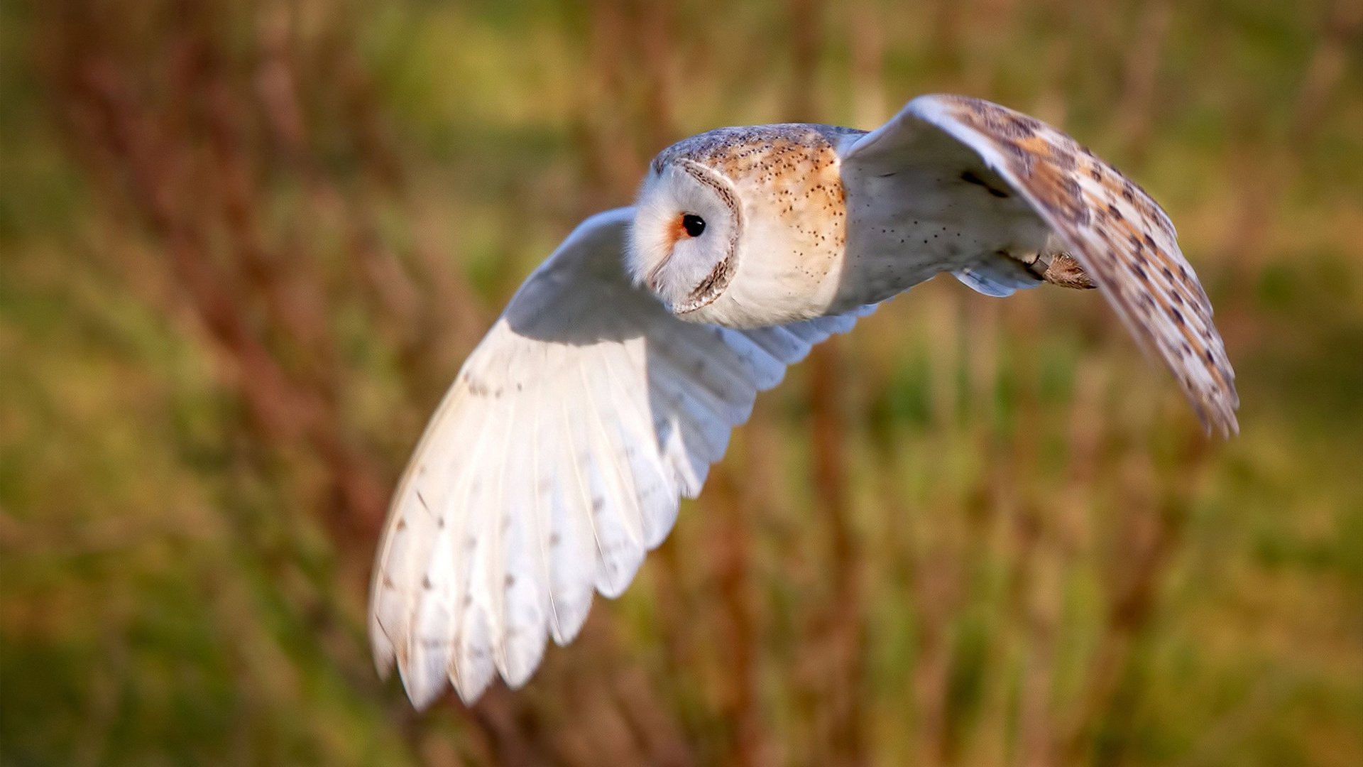 爱游戏app-“泥泞角逐：越野赛段的血性拼搏”，越野经验泥泞路驾驶