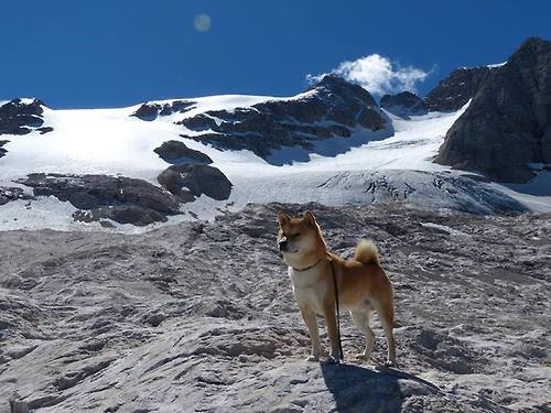 “泥泞角逐:越野赛段的血性拼搏”,越野经验泥泞路驾驶