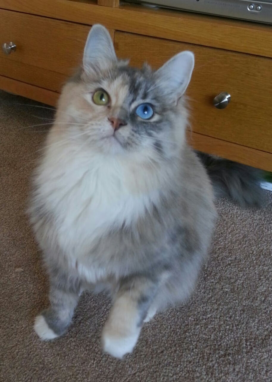 爱游戏电竞官网-【名将故事】马克·塞尔比逆风而行的坚韧精神，马克塞尔比童年