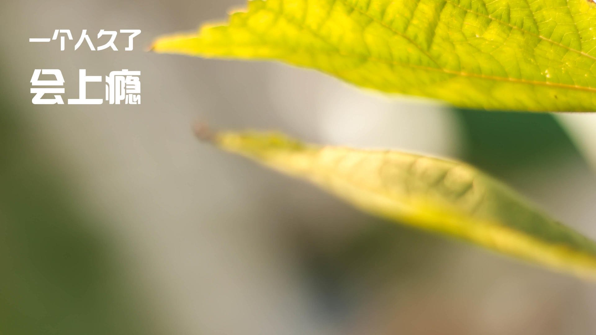 爱游戏登录入口-葡萄牙马术协会引入智能马鞍系统，实现实时数据监测与分析，提升骑乘体验。