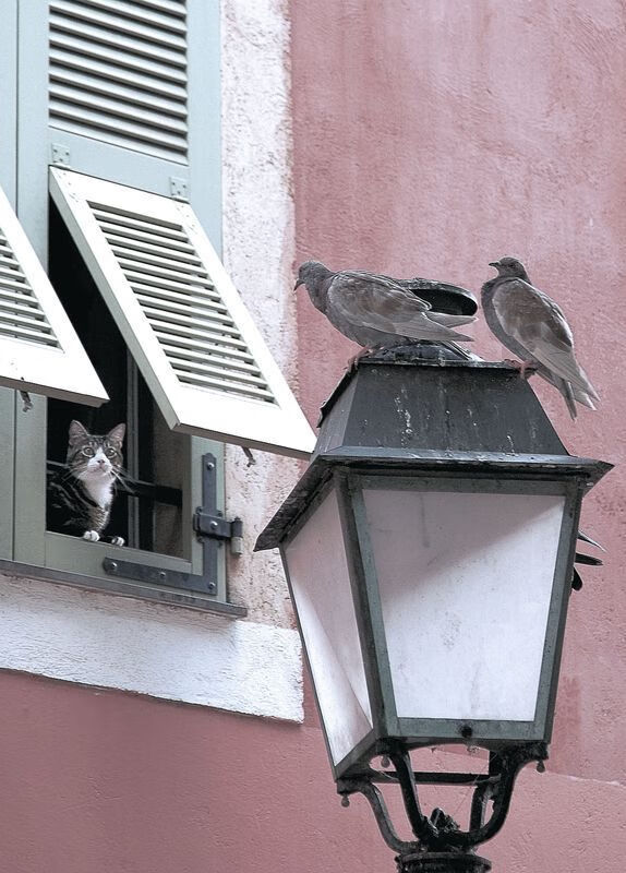 爱游戏官方网站-逆境中燃起希望：那些破天荒逆转成就传奇的队伍，冲破逆境