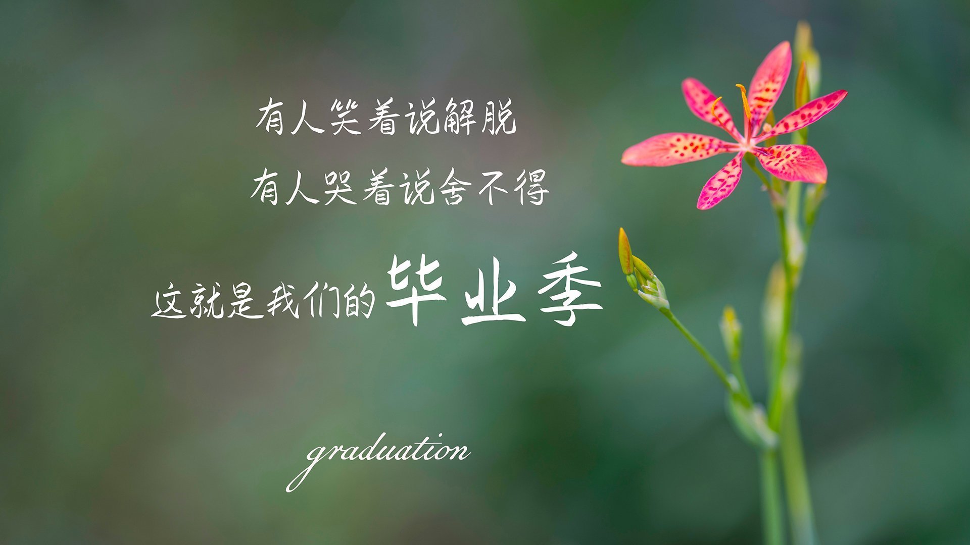 爱游戏电竞官网-北京北控积极备战新赛季，北控迎来两连胜