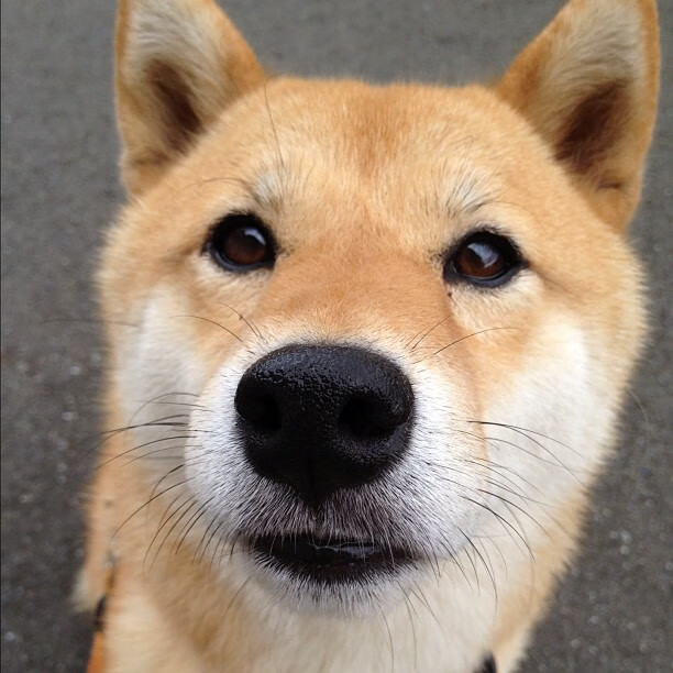 北京国安赢球领先积分榜,气势如虹,北京国安积分排行榜