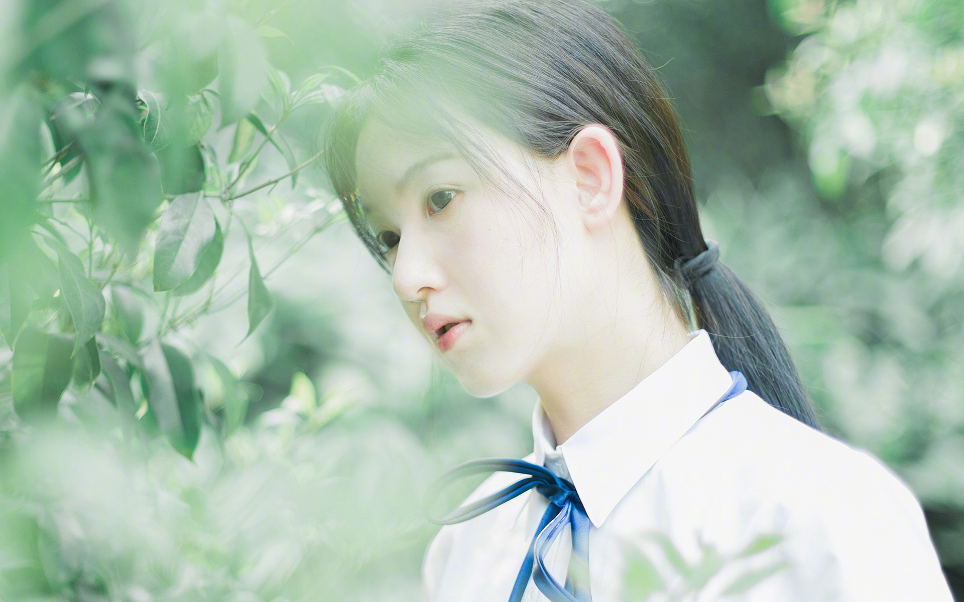 勒沃库森签下荷兰射手,德甲劲旅加强,勒沃库森vs年轻人