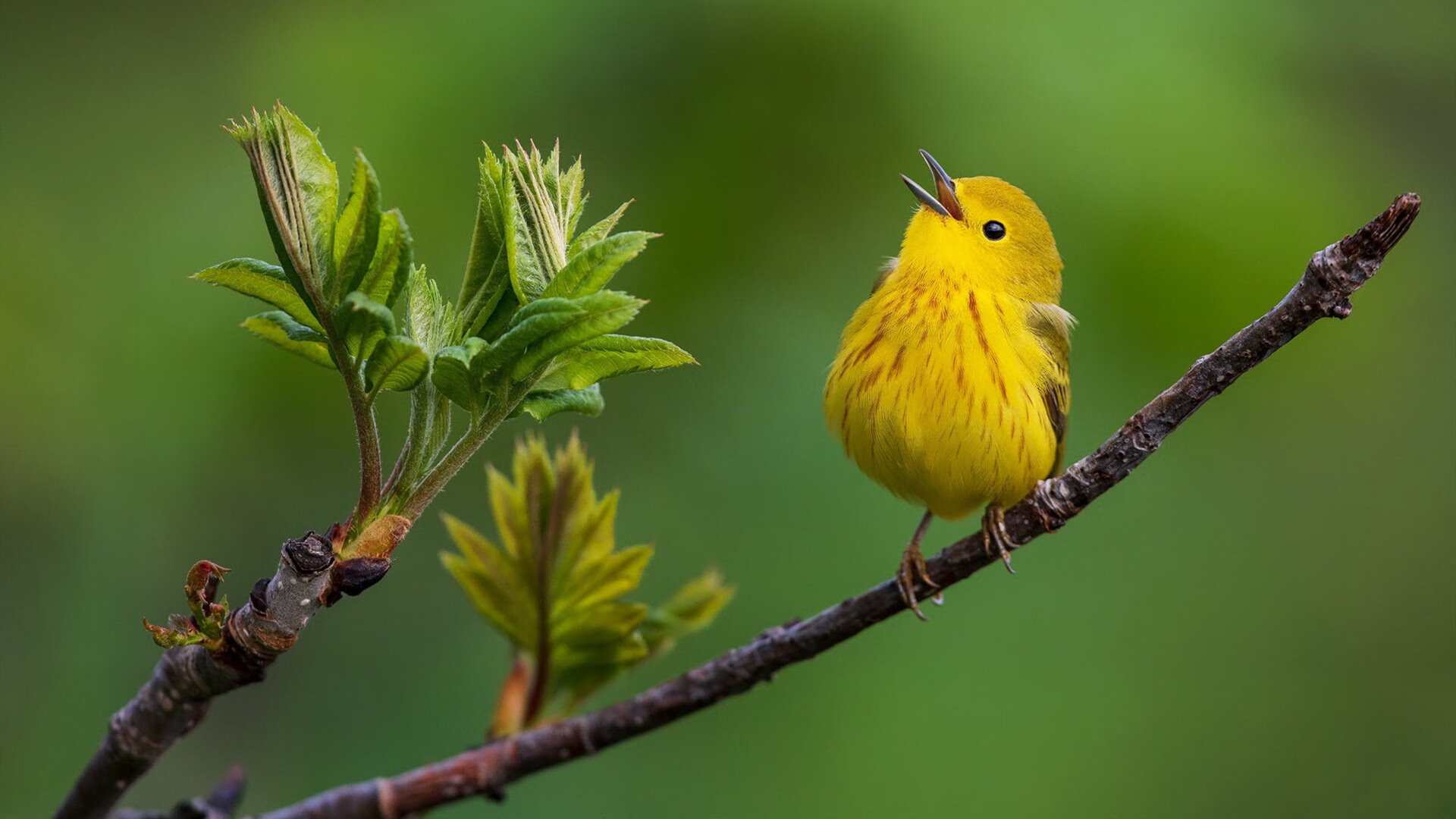 爱游戏娱乐网址-堡垒之夜加入全新游戏模式，堡垒之夜加入全新游戏模式怎么退出