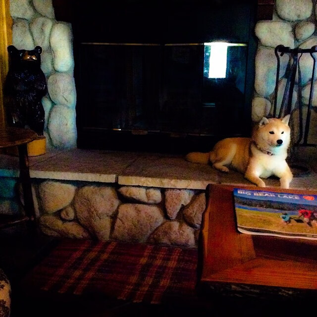 女足训练营科学规划,效果显现,女足训练图片