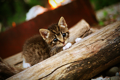 曼联逆转胜利,重返英超积分榜前列,曼联最新积分英超