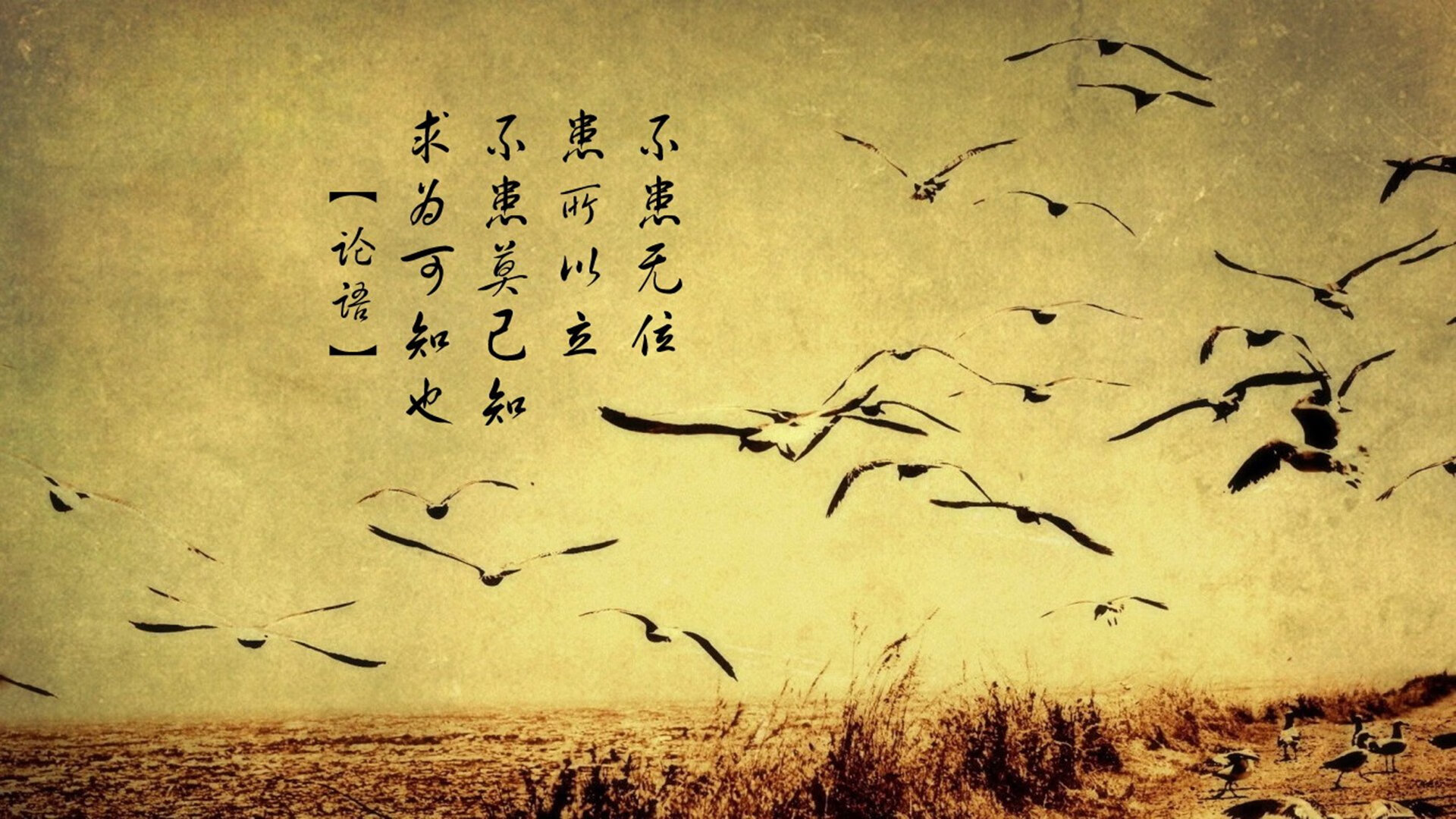 爱游戏体育APP下载-浙江广厦球队攻防转换效率大幅提升，浙江广厦球队球员介绍