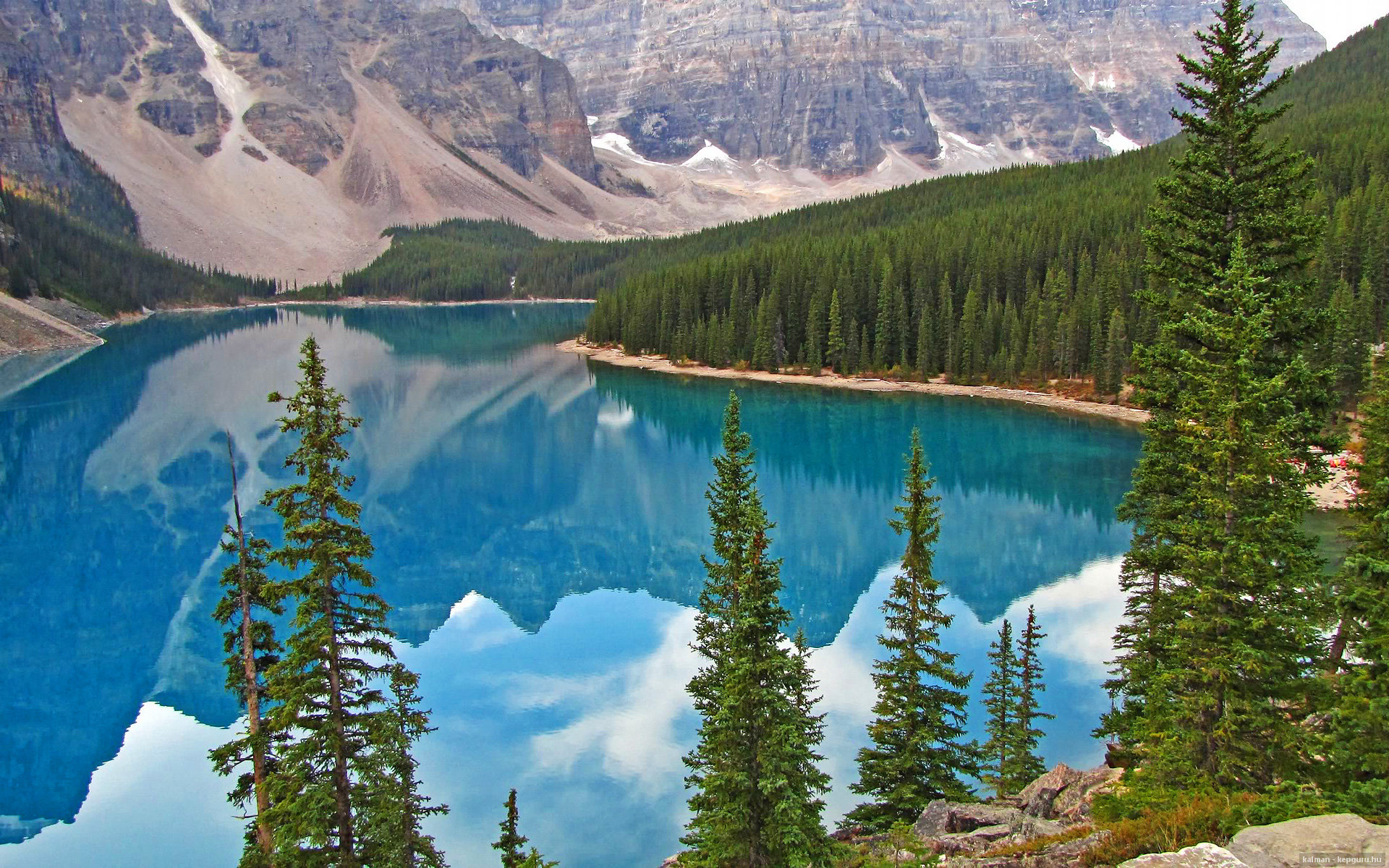 球员跳出合同是否说明信任缺失,nba跳出合同重新签约