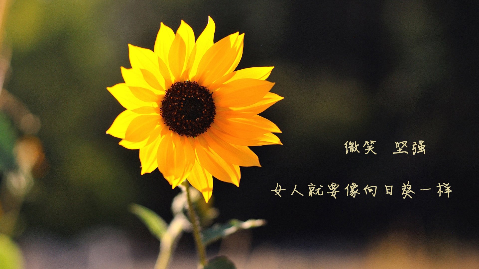 爱游戏体育平台-突发羽毛球赛程延误原因，羽毛球赛暂停