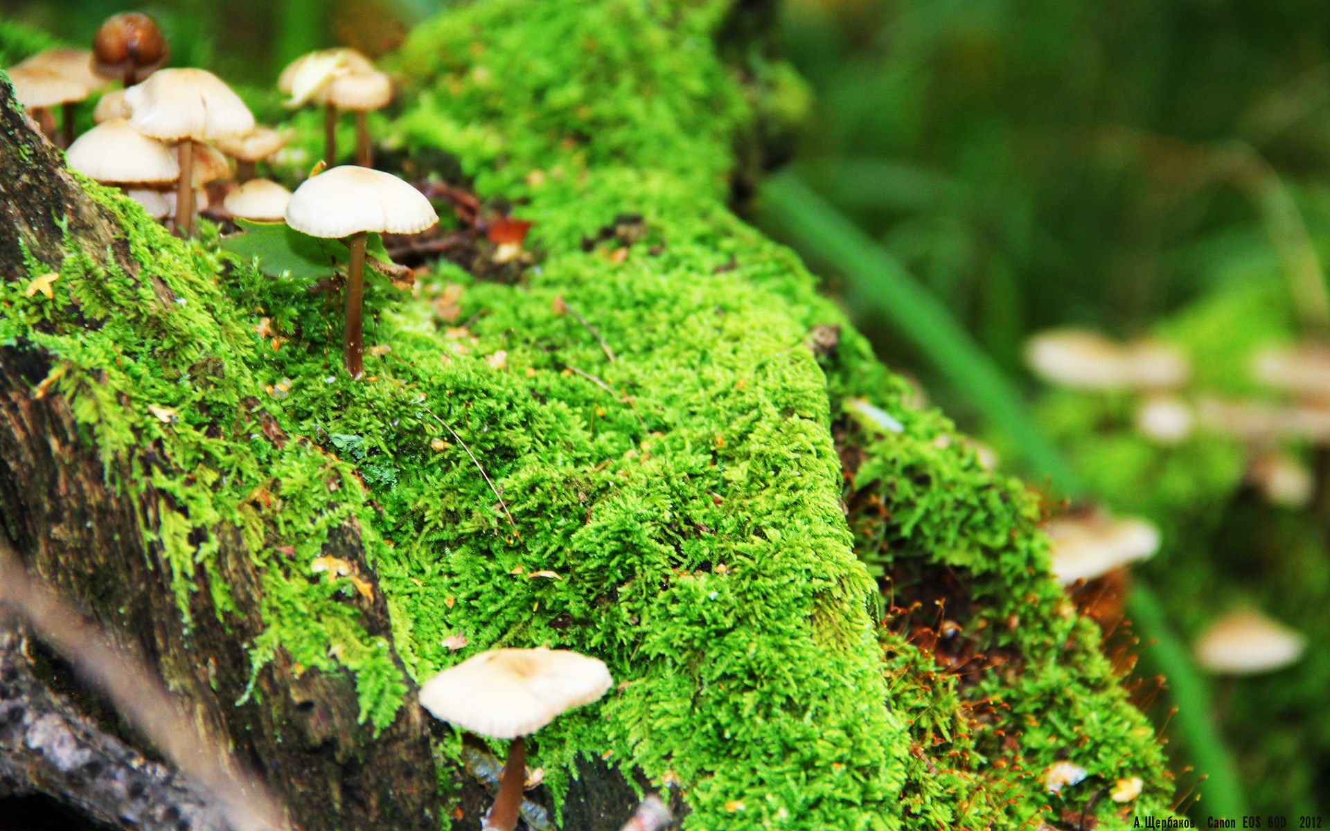 爱游戏登录入口-辽宁本钢赛季表现稳定出色，辽宁本钢队赛程行程表