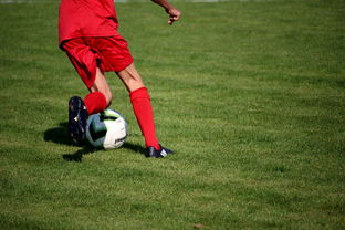 爱游戏体育APP下载-法甲营养恢复系统提升球员赛季稳定性调查