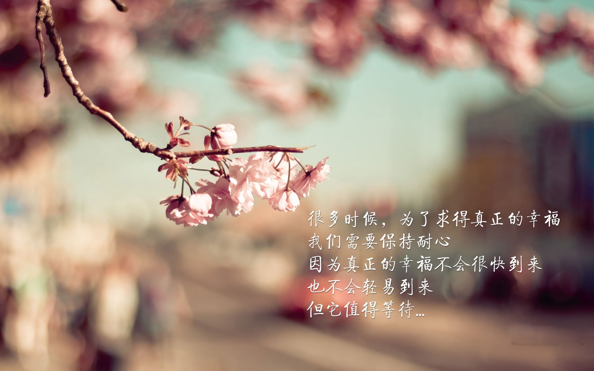 爱游戏体育平台-“拳击选手全力出击，四川省体育馆迎来激烈角逐”