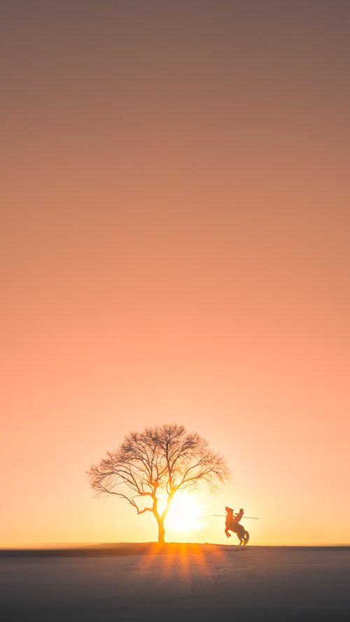 中美女子200蝶滑行–划频协同度演进图