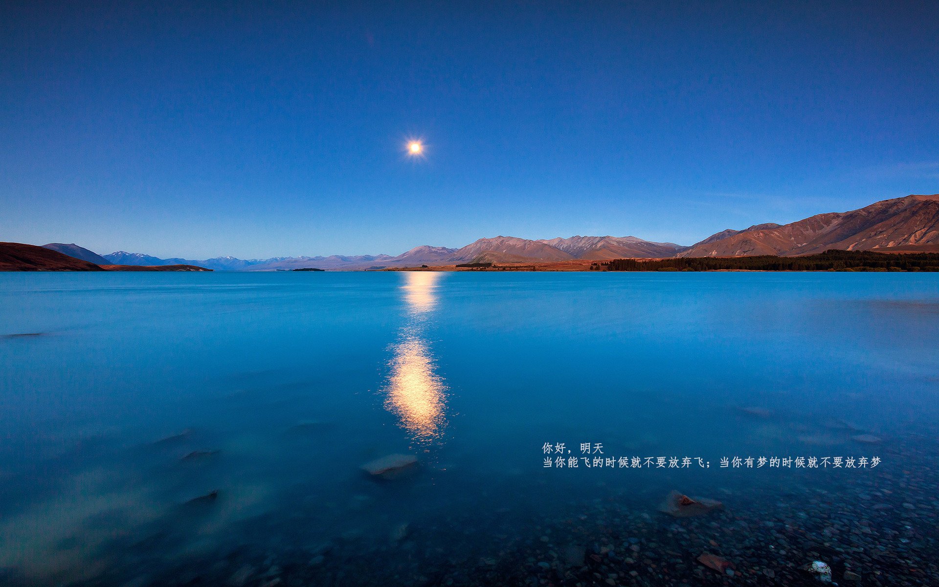 国际乒联混合团体世界杯:德国队未来战略与人才培养,德国世界乒乓球锦标赛