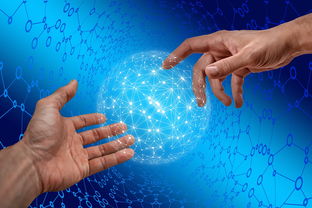 爱游戏下载-德国仰泳项目技术稳定提升，德国仰泳项目技术稳定提升方案