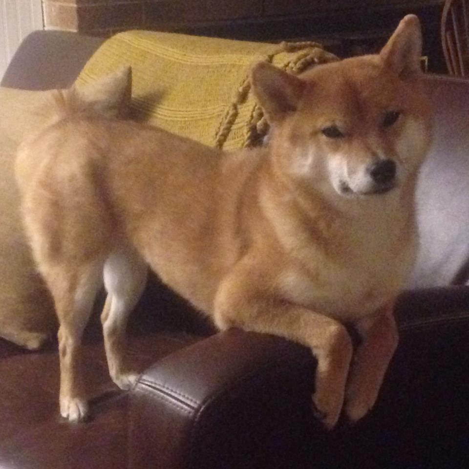 爱游戏娱乐网址-赛季尾声任务重要球员累积红黄牌策略调整