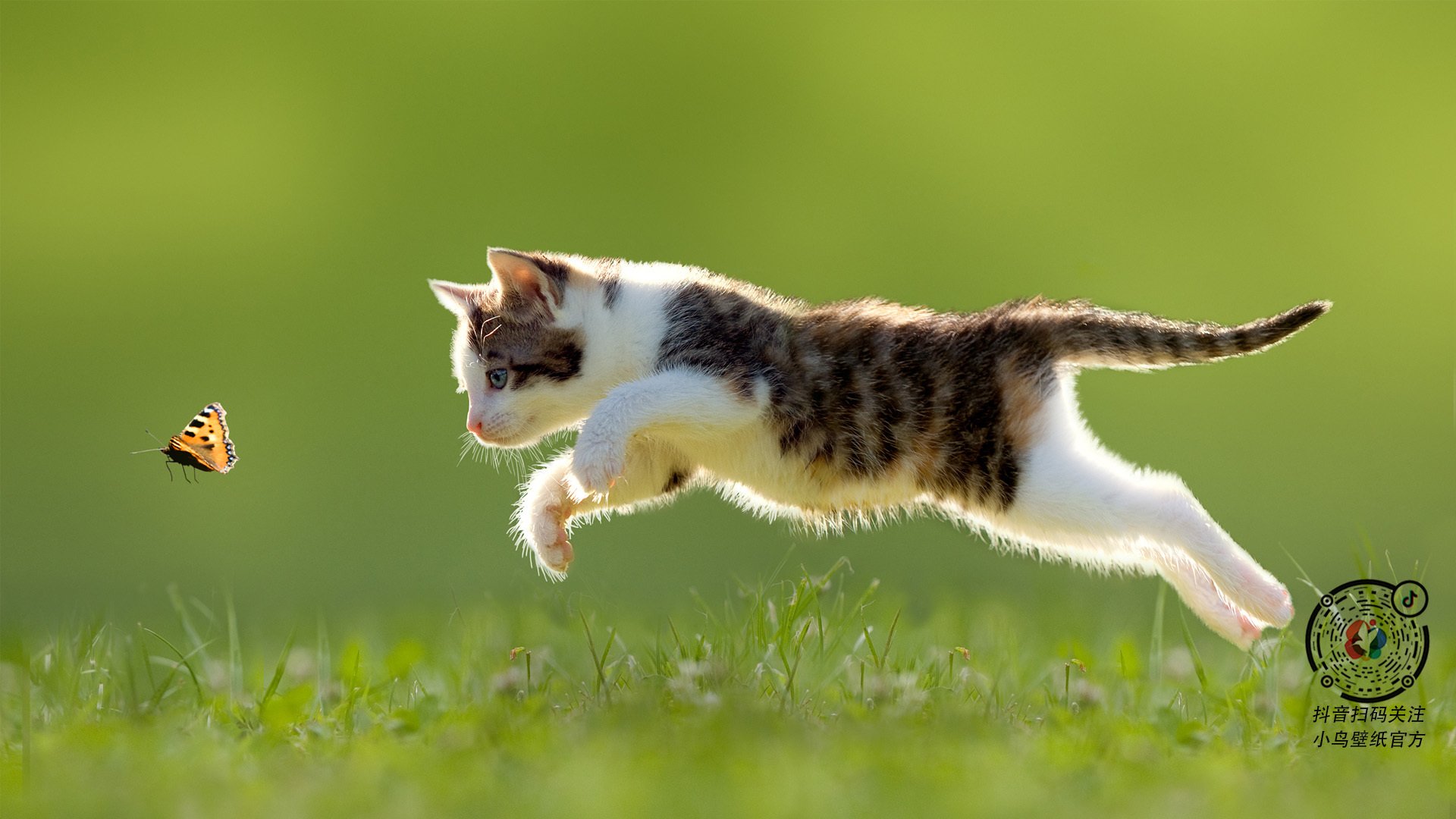 极限攀岩入选多所高校选修体育课程,极限攀爬