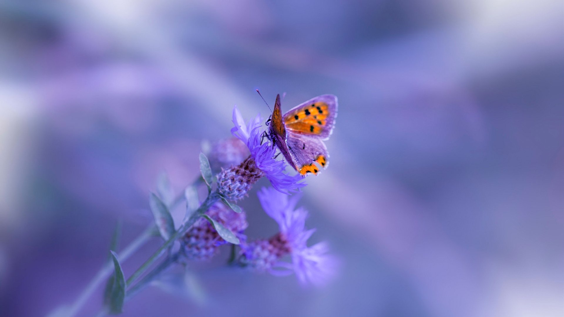 爱游戏体育app-骑士球员训练后自发组织复盘会议，骑士队训练